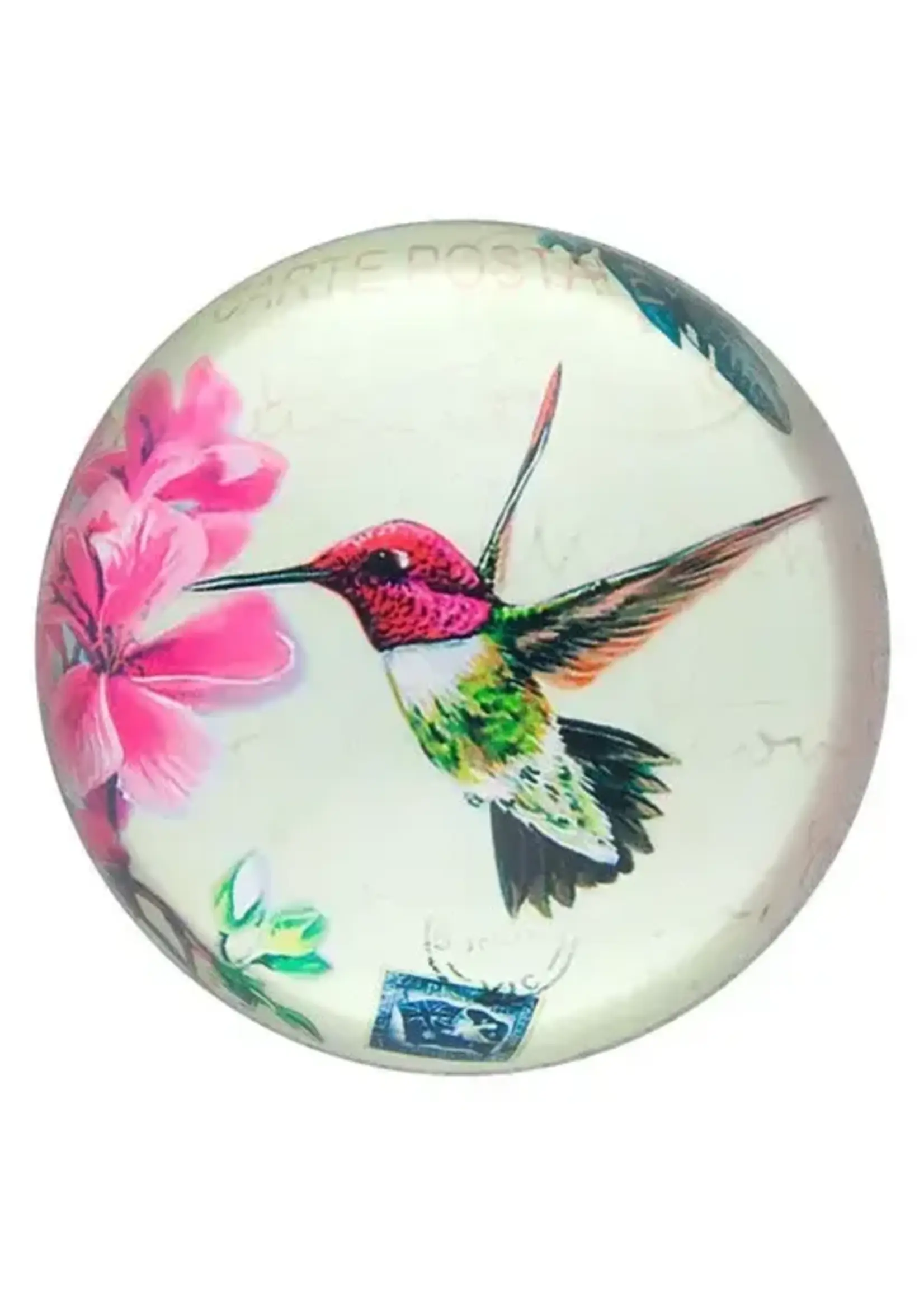 Paperweight Glass Dome Hummingbird