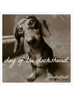 Day of the Dashund