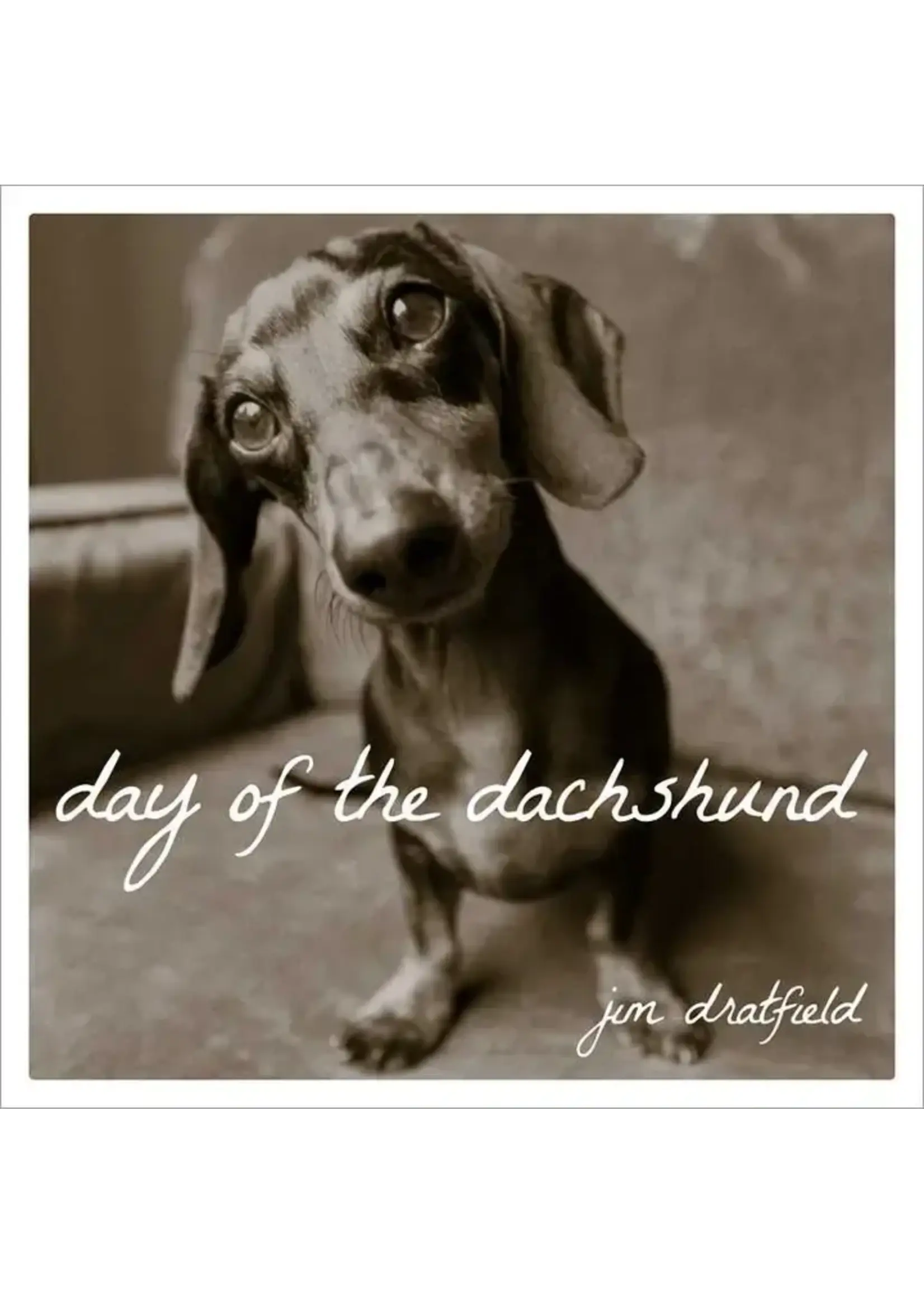 Day of the Dashund