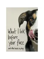 What I Lick Before Your Face
