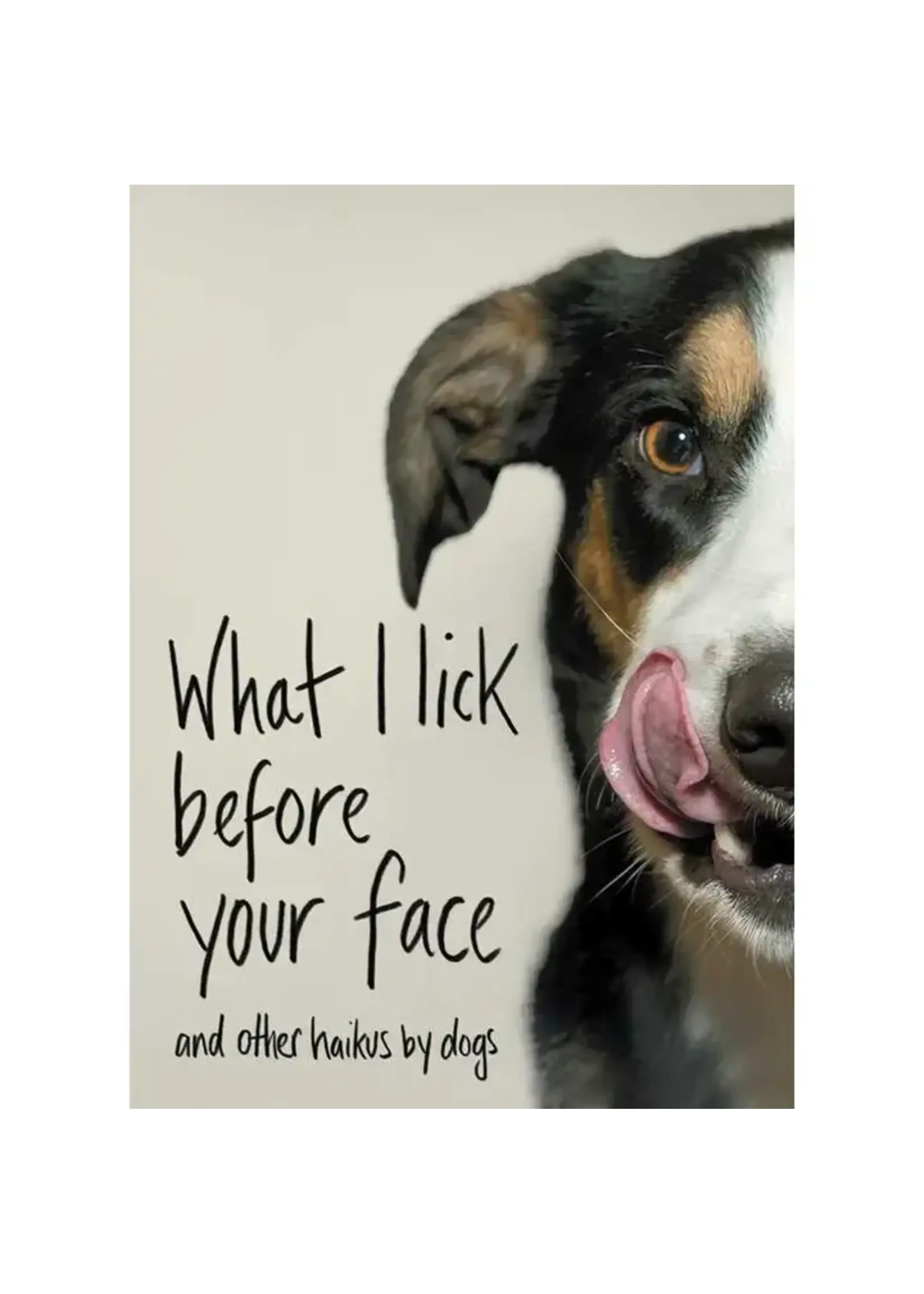 What I Lick Before Your Face