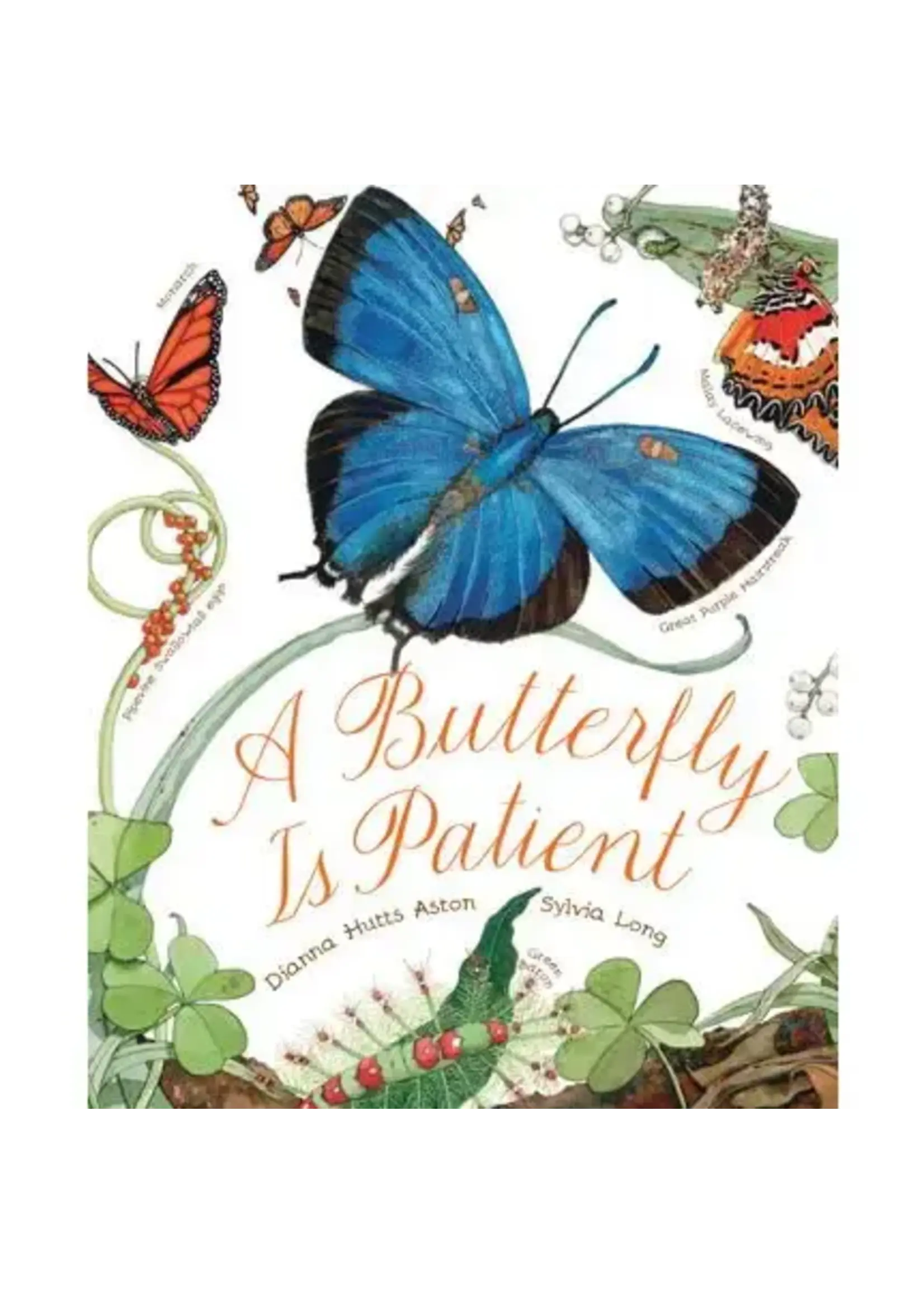 A Butterfly is Patient