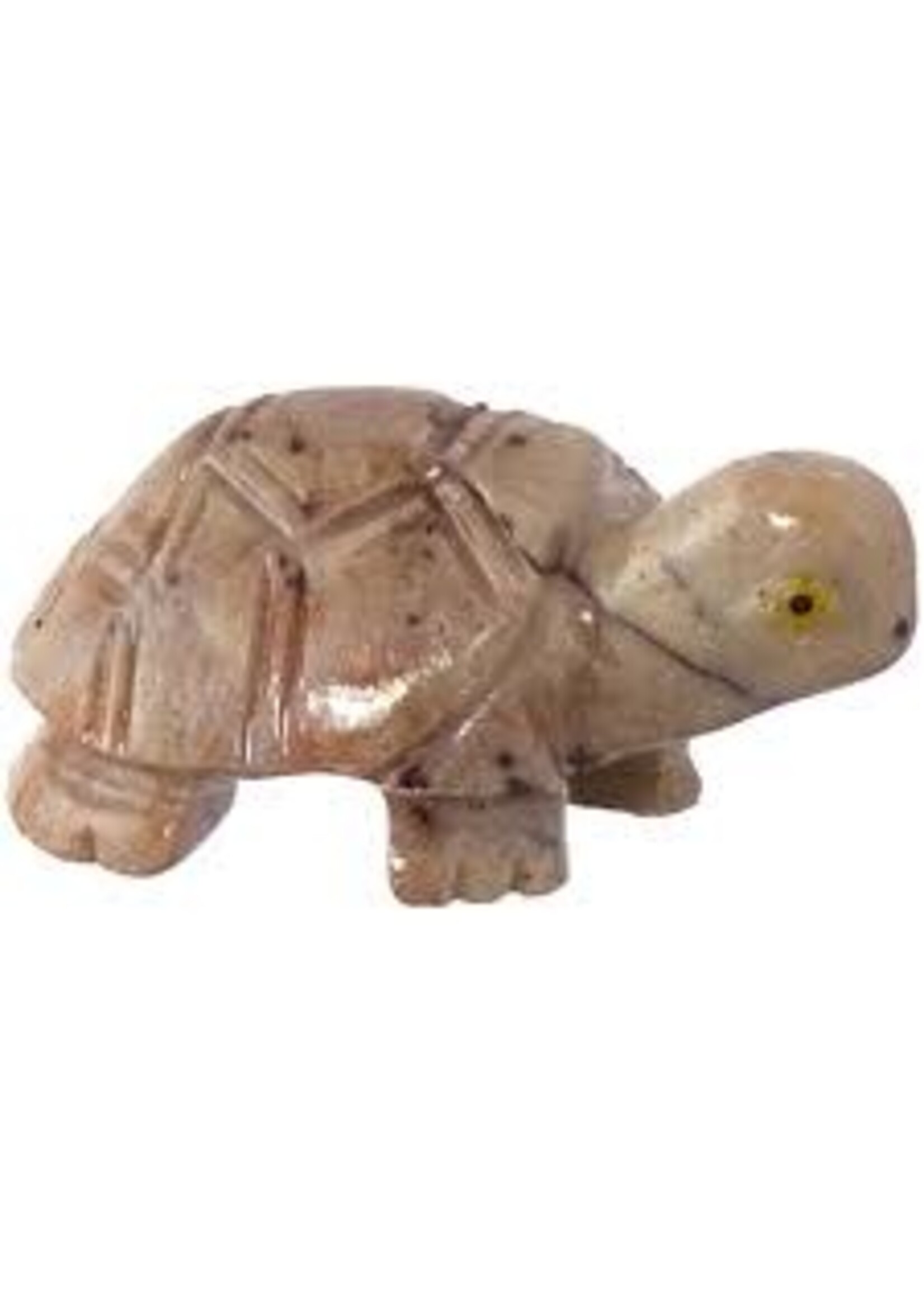 Spirit Animal Dolomite Turtle