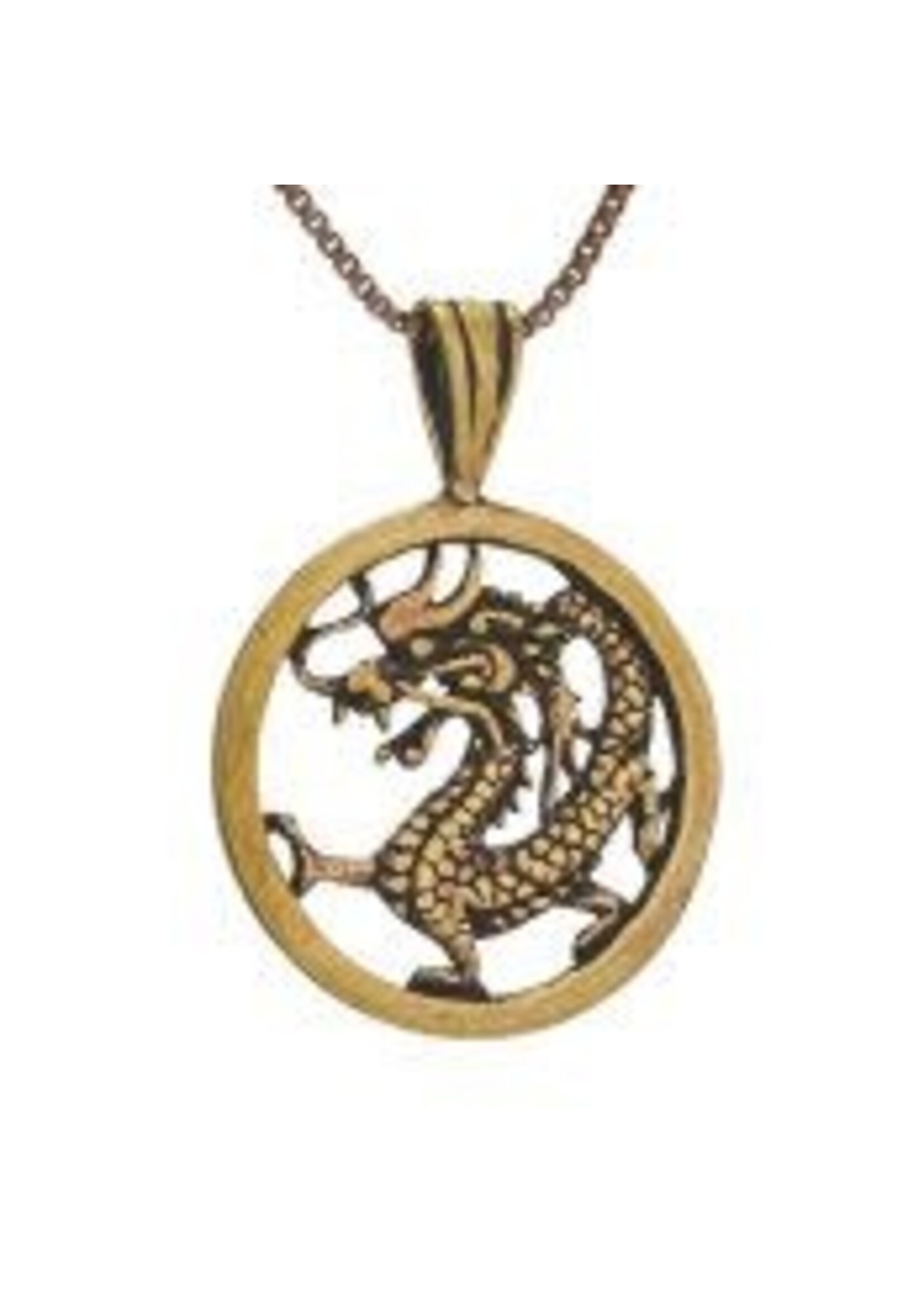 Necklace Bronze Dragon Medalian