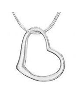 Necklace SS Floating Heart