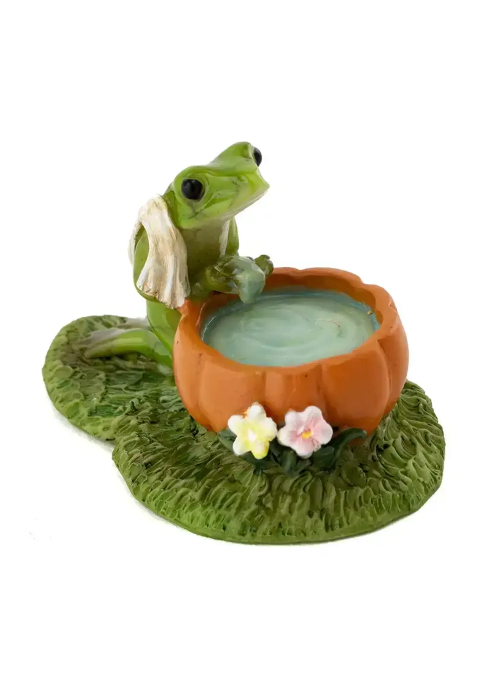 Mini Frog Washing His Face 2.3 x 1.3 in