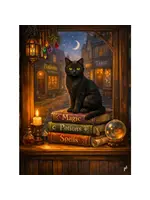 Puzzle Magic Store 1000 Pc