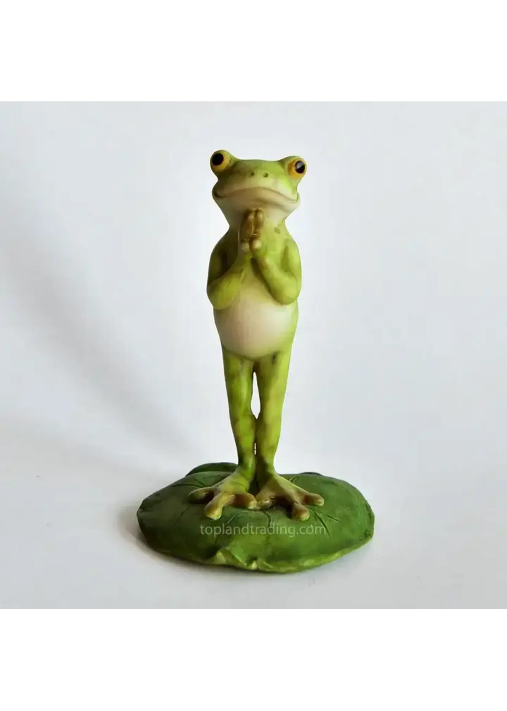 Top Land Trading Yoga Frog Namaste