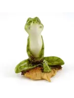 Top Land Trading Yoga Frog Lotus Pose w/Baby Frog