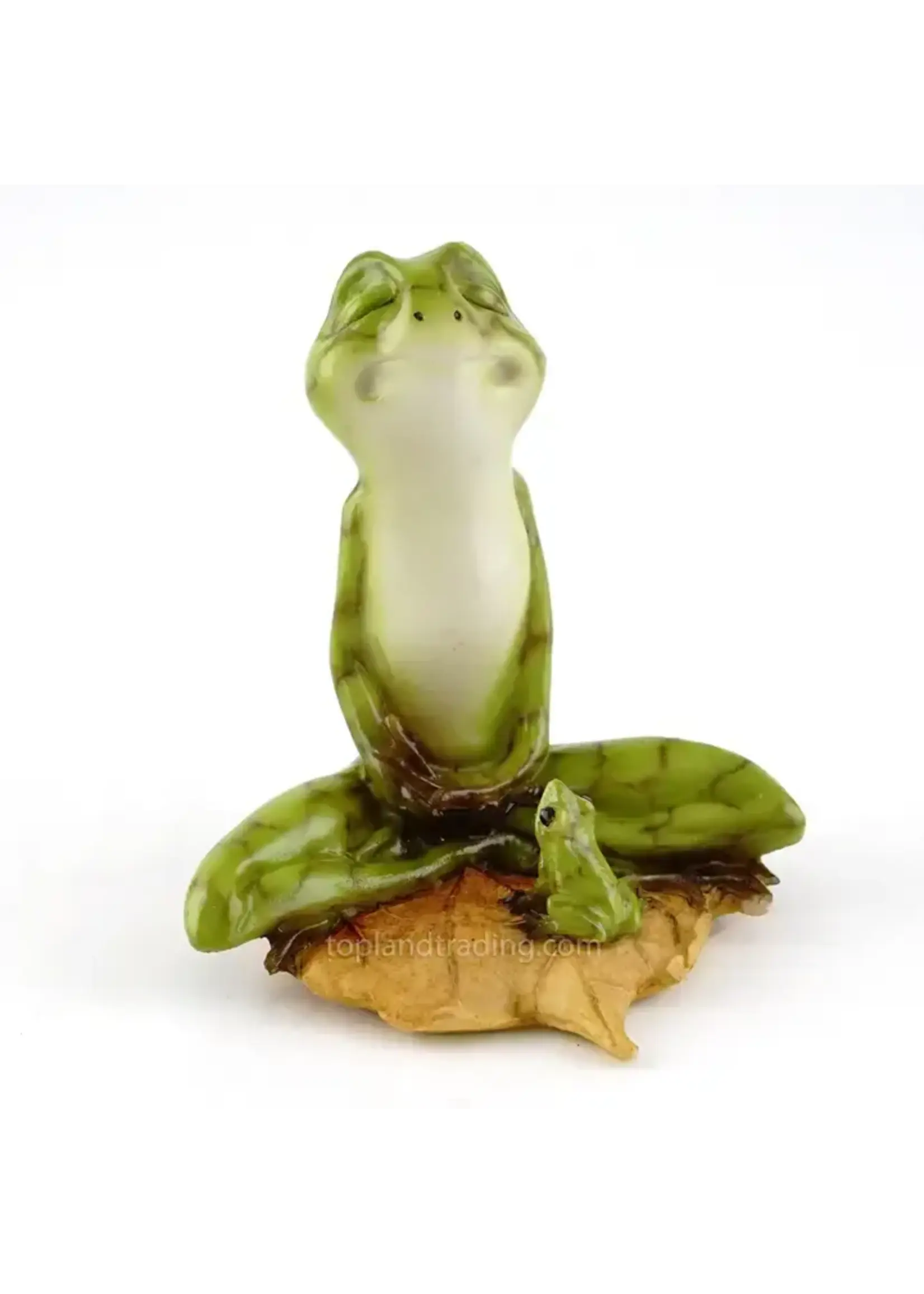 Top Land Trading Yoga Frog Lotus Pose w/Baby Frog