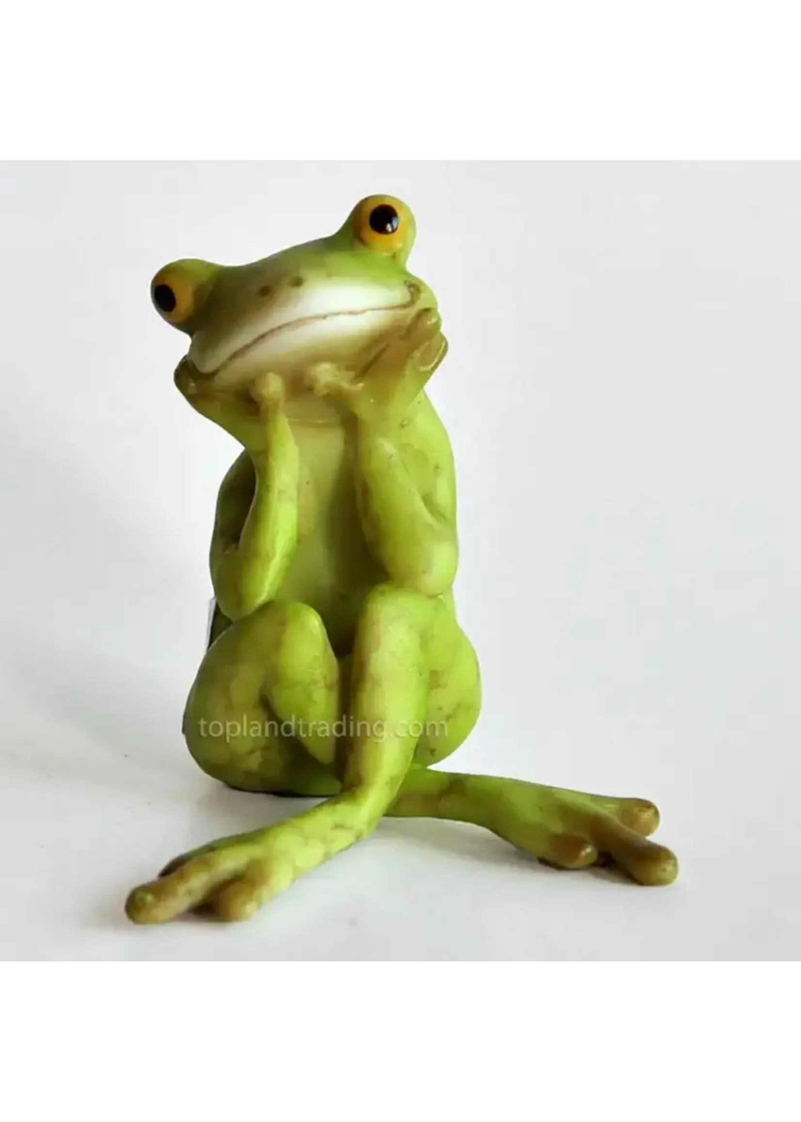 Top Land Frog In Thought
