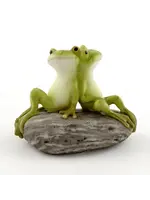 Top Land Frog Friends on Stone