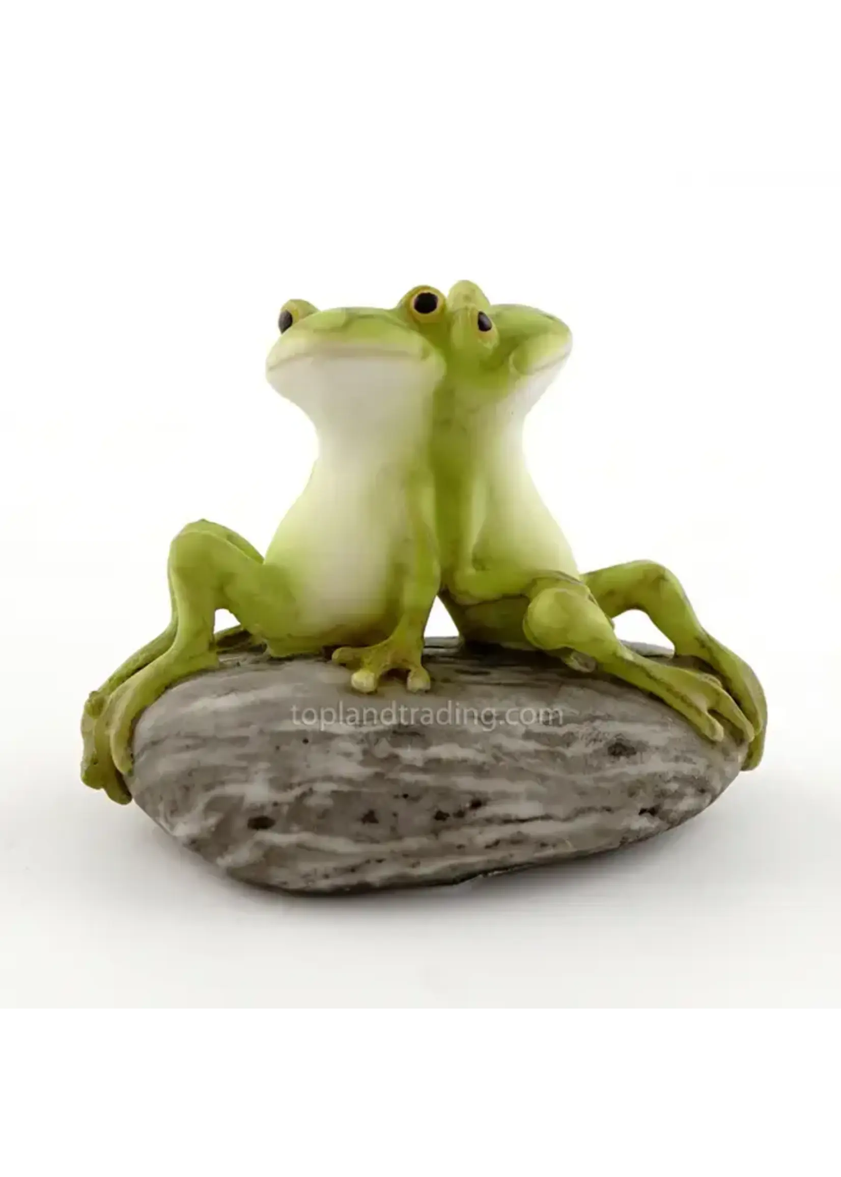 Top Land Frog Friends on Stone