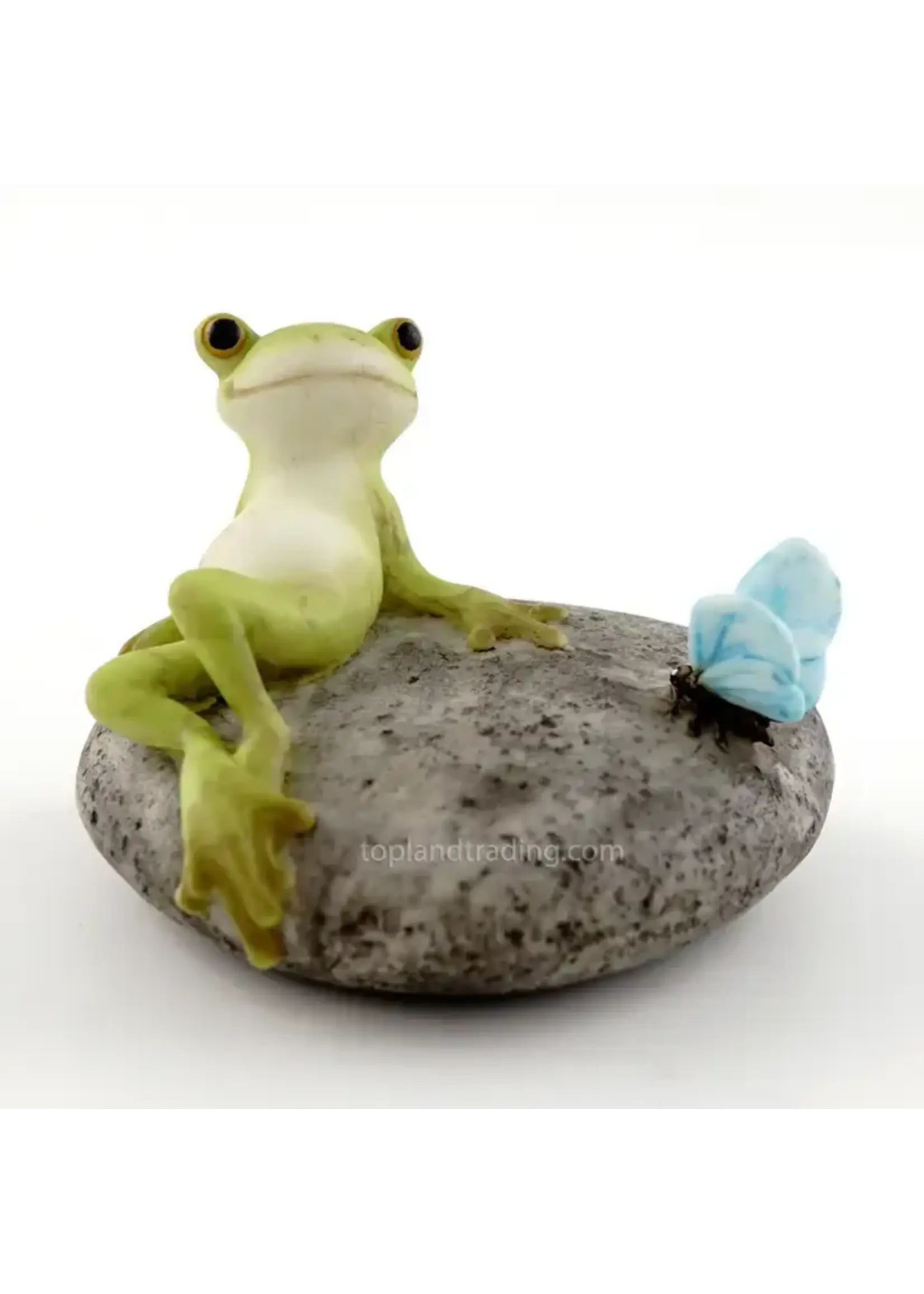 Top Land Frog Resting On Stone W/ Butterfly