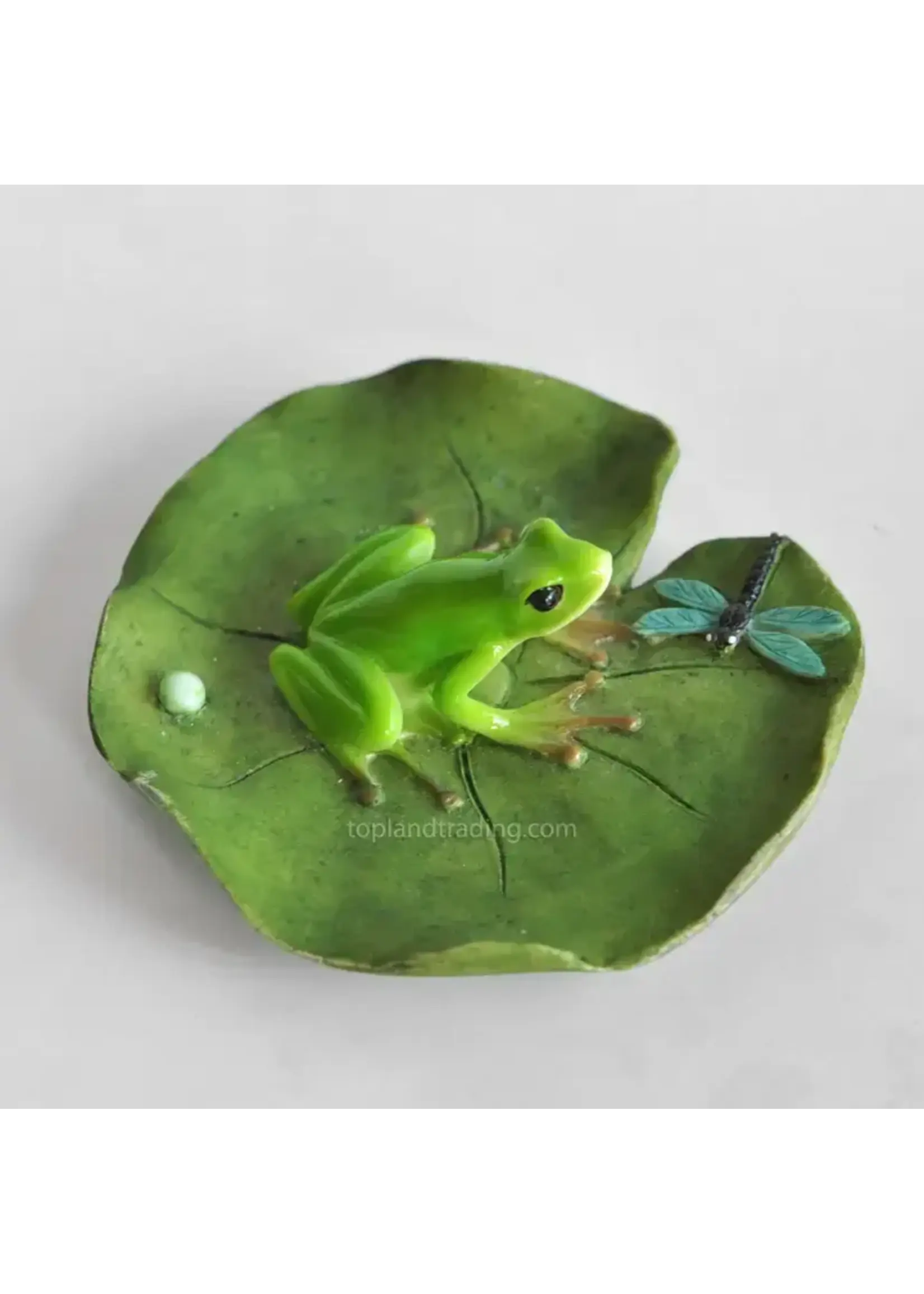 Top Land Trading Frog and Dragonfly on Lotus Leaf