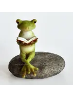 Top Land Frog Reading On Stone