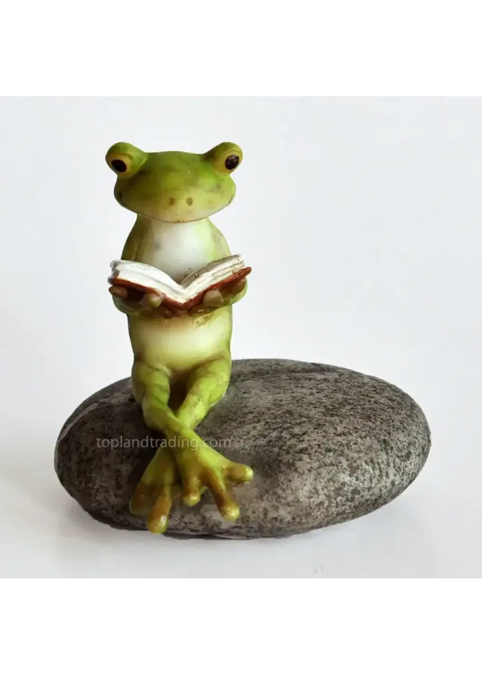 TopLand Frog Reading On Stone