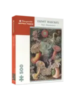 Pomegranate Puzzle Sea Anemones 500 pc