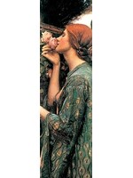 Bookmark John William Waterhouse: the Soul of the Rose