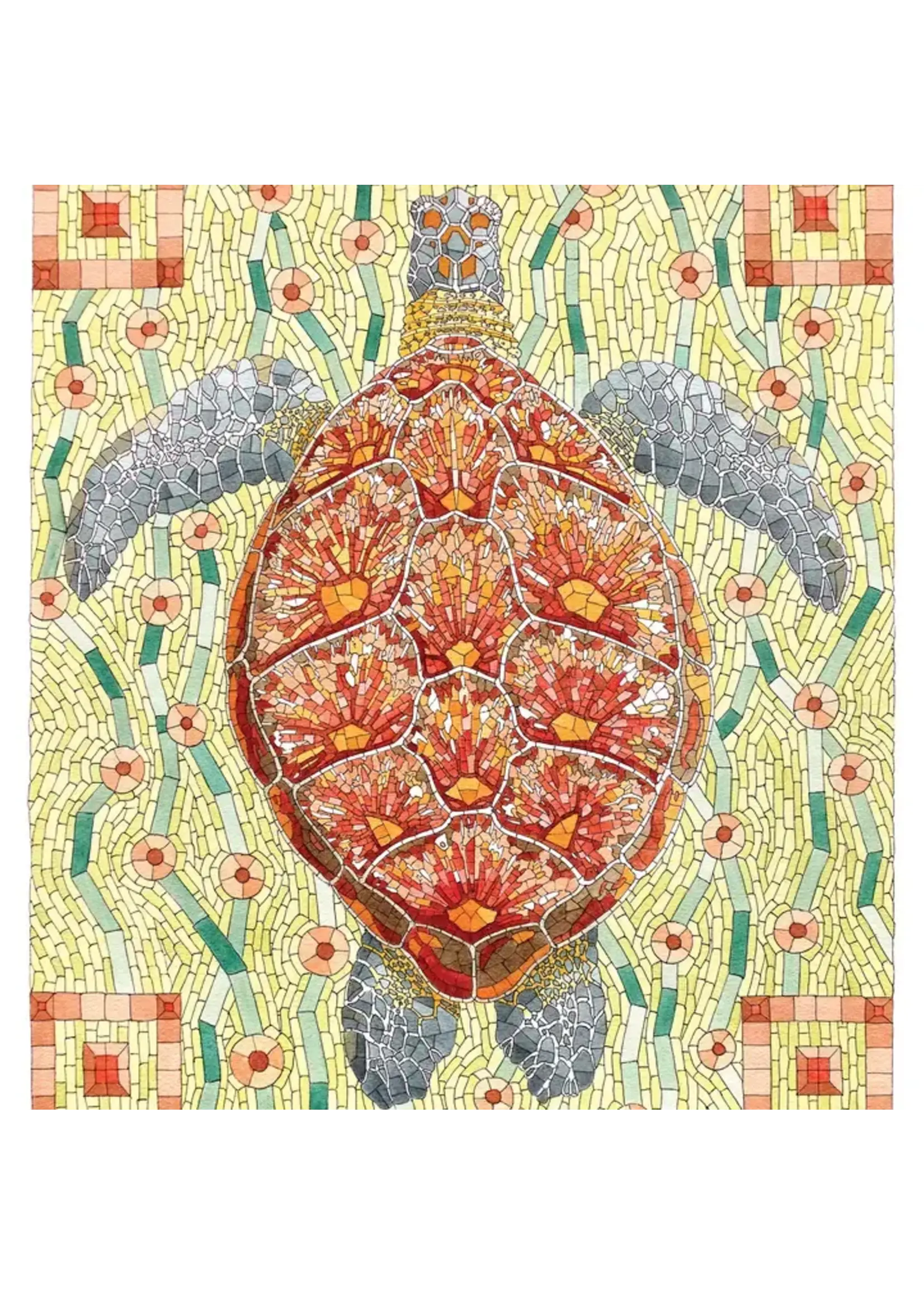 Card BL David Cohen: Sea Turtle Notecard
