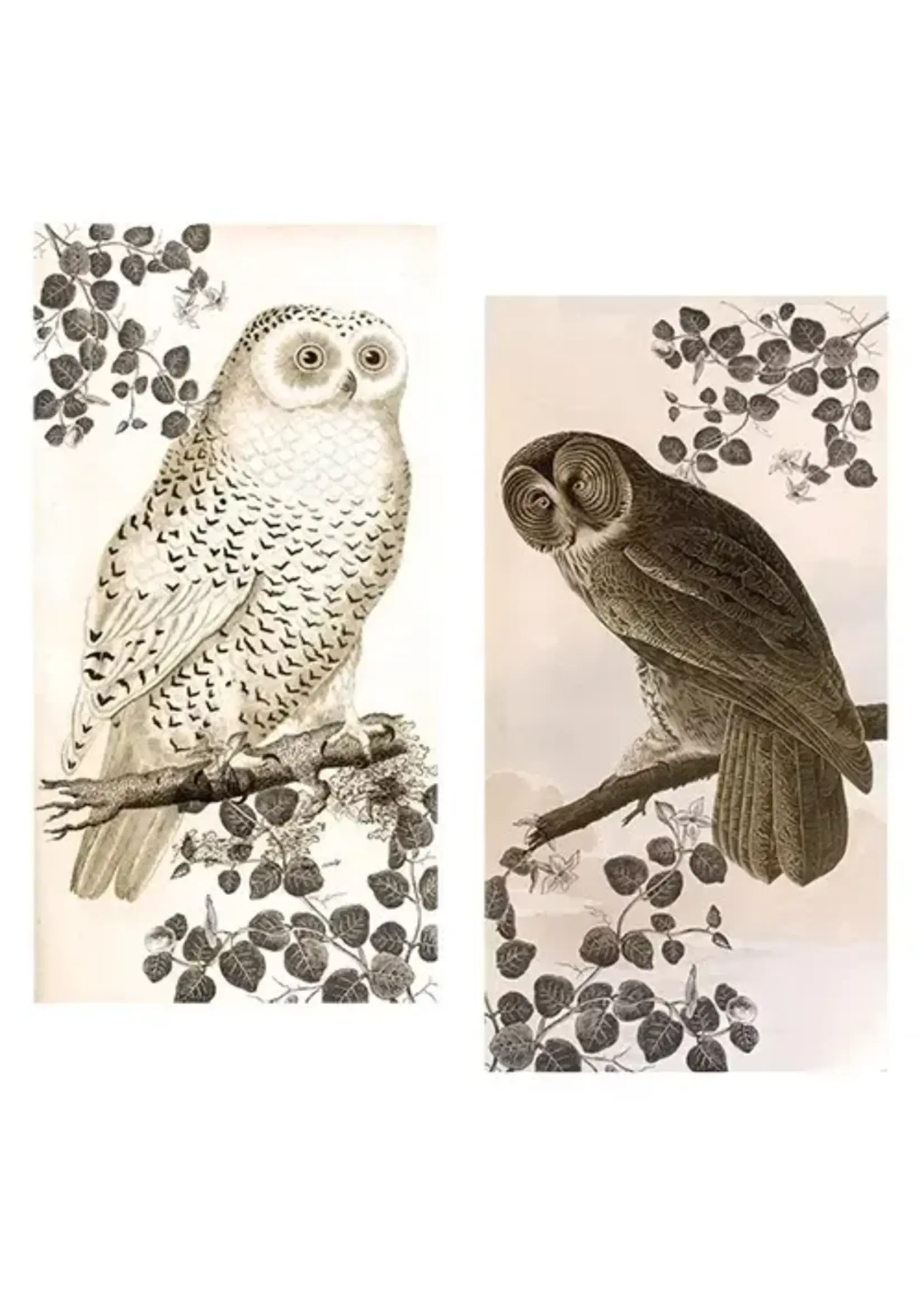 Matches Vintage Owl Box of 50