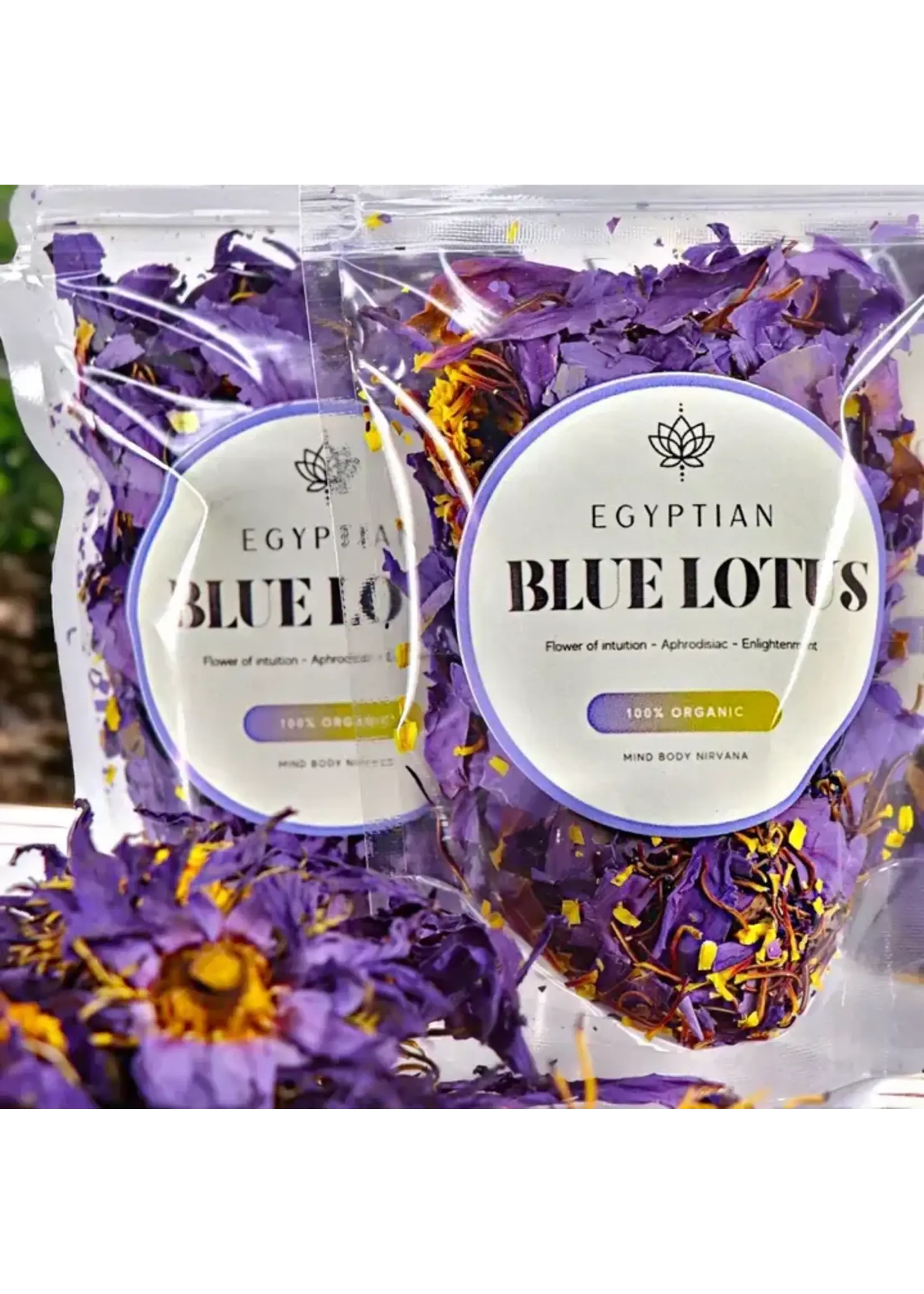 Egyptian Blue Lotus