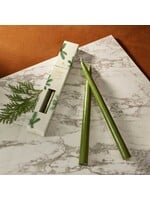 Frasier Fir Taper Candle Set of 2