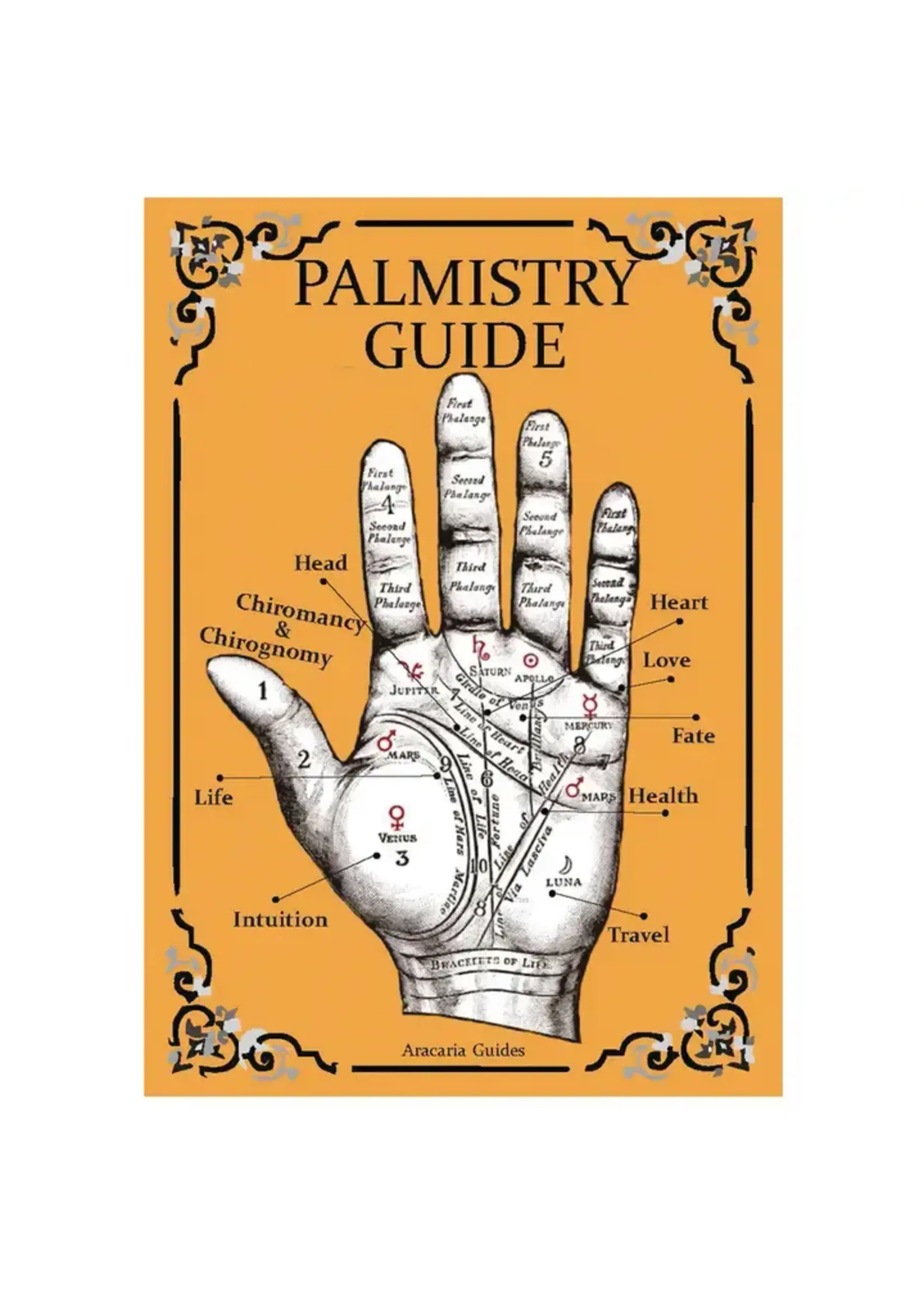 Palmistry Guide