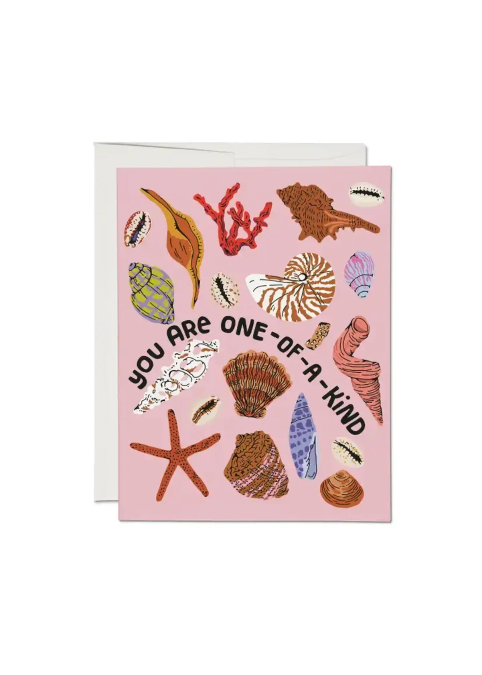 Card FR Special Seashell