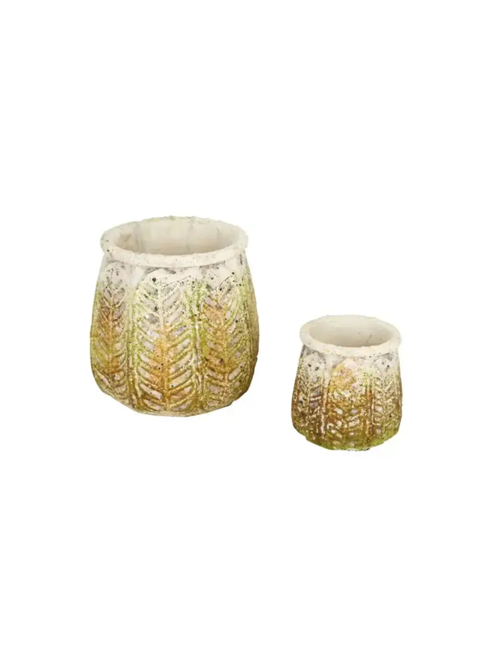Ancient Leaf Cement Flower Pot Set of 2