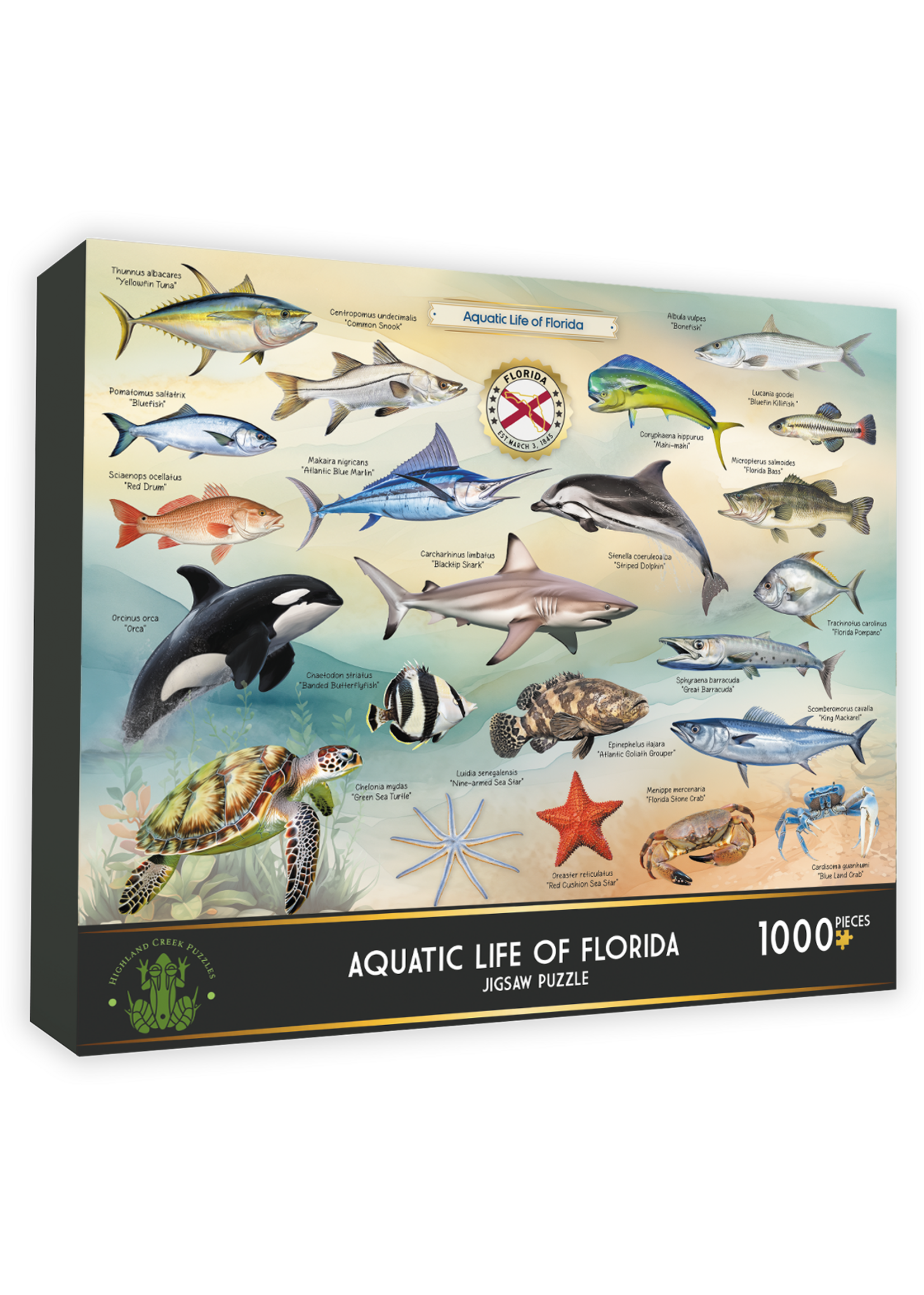Puzzle Aquatic Life of Florida