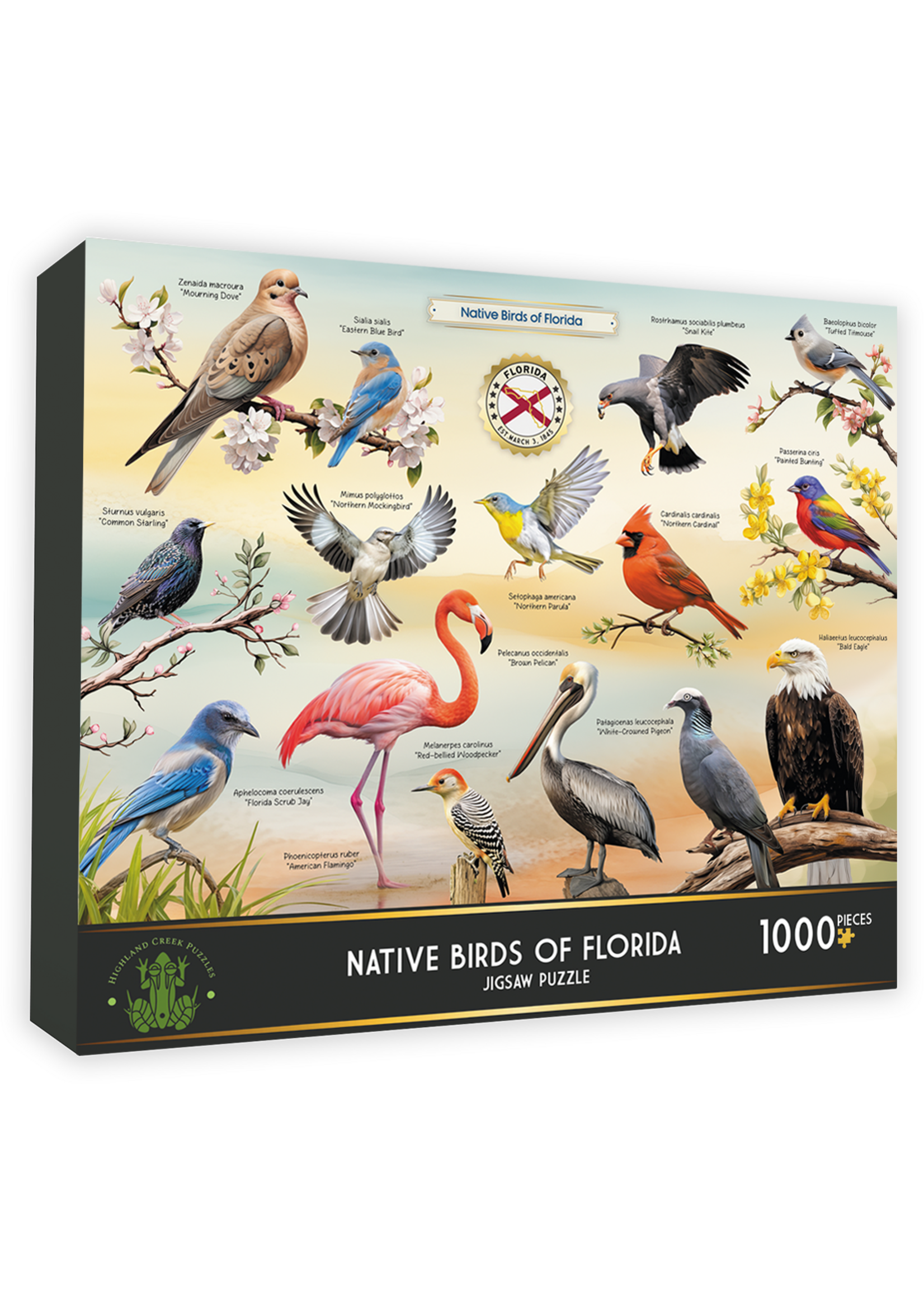 Puzzle Native Birds of Florida