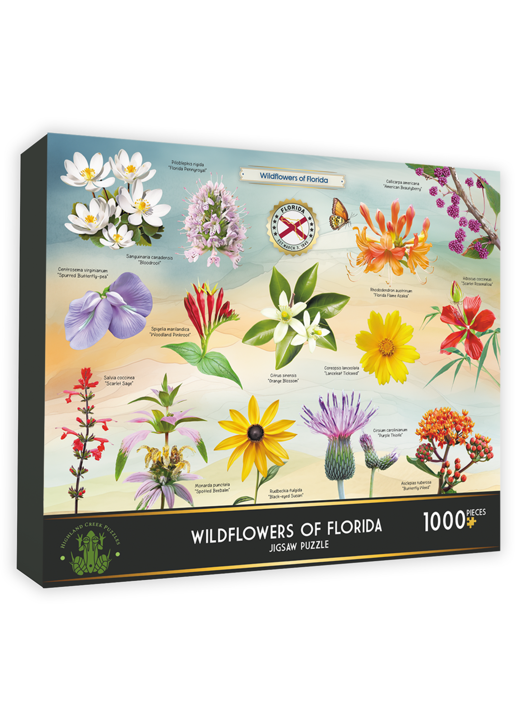 Puzzle Wildflowers of Florida