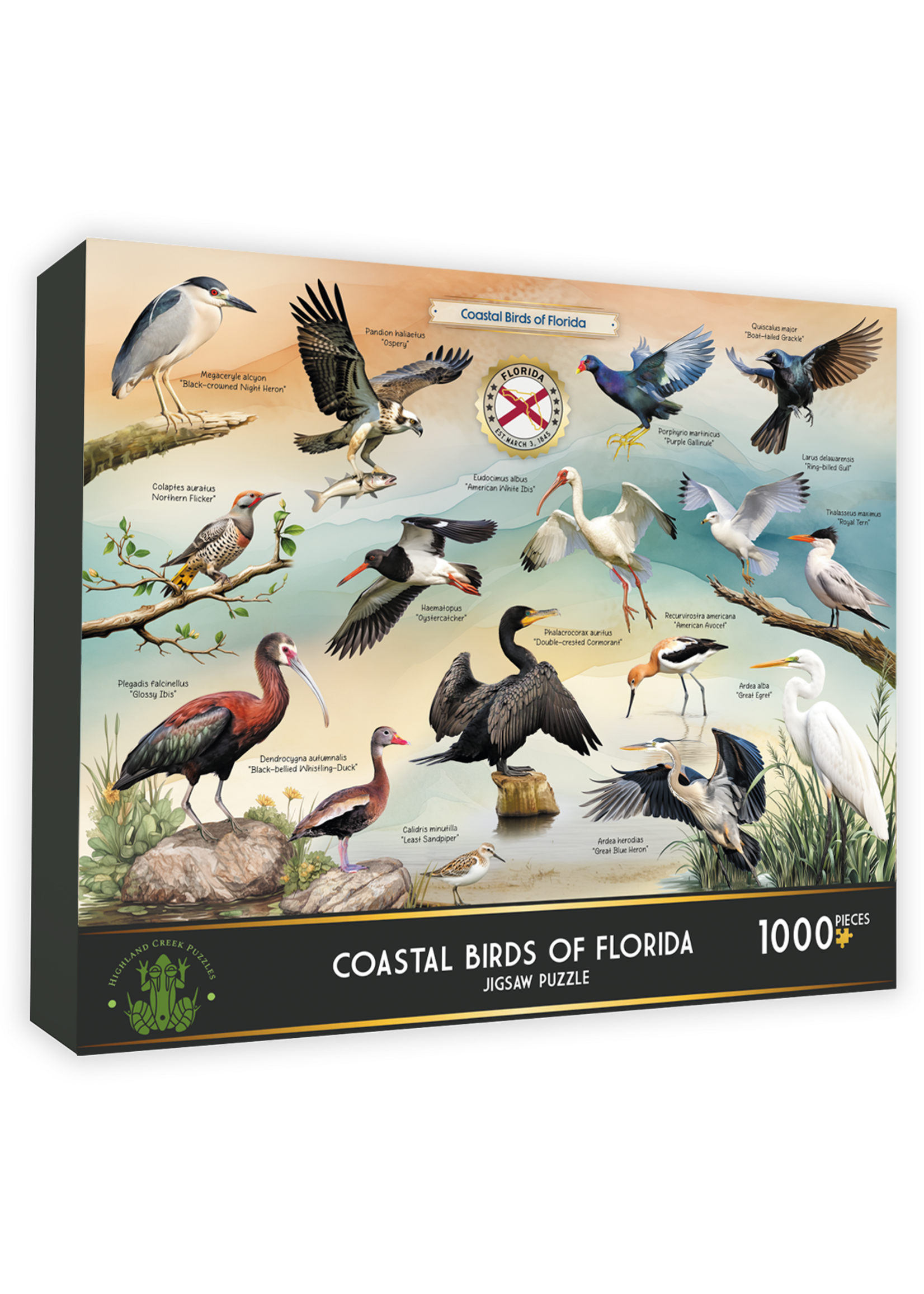 Puzzle Coastal Birds of Florida
