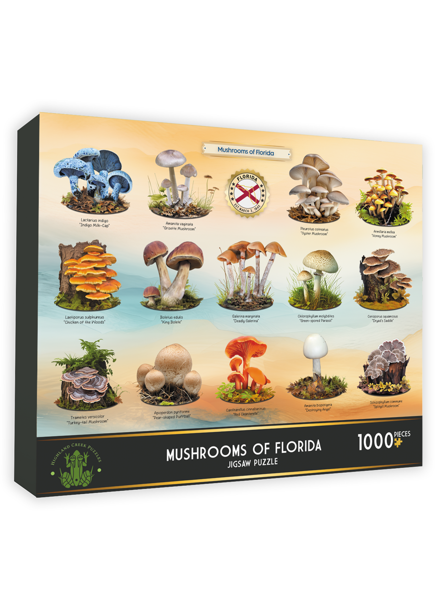 Puzzle Mushrooms of Florida