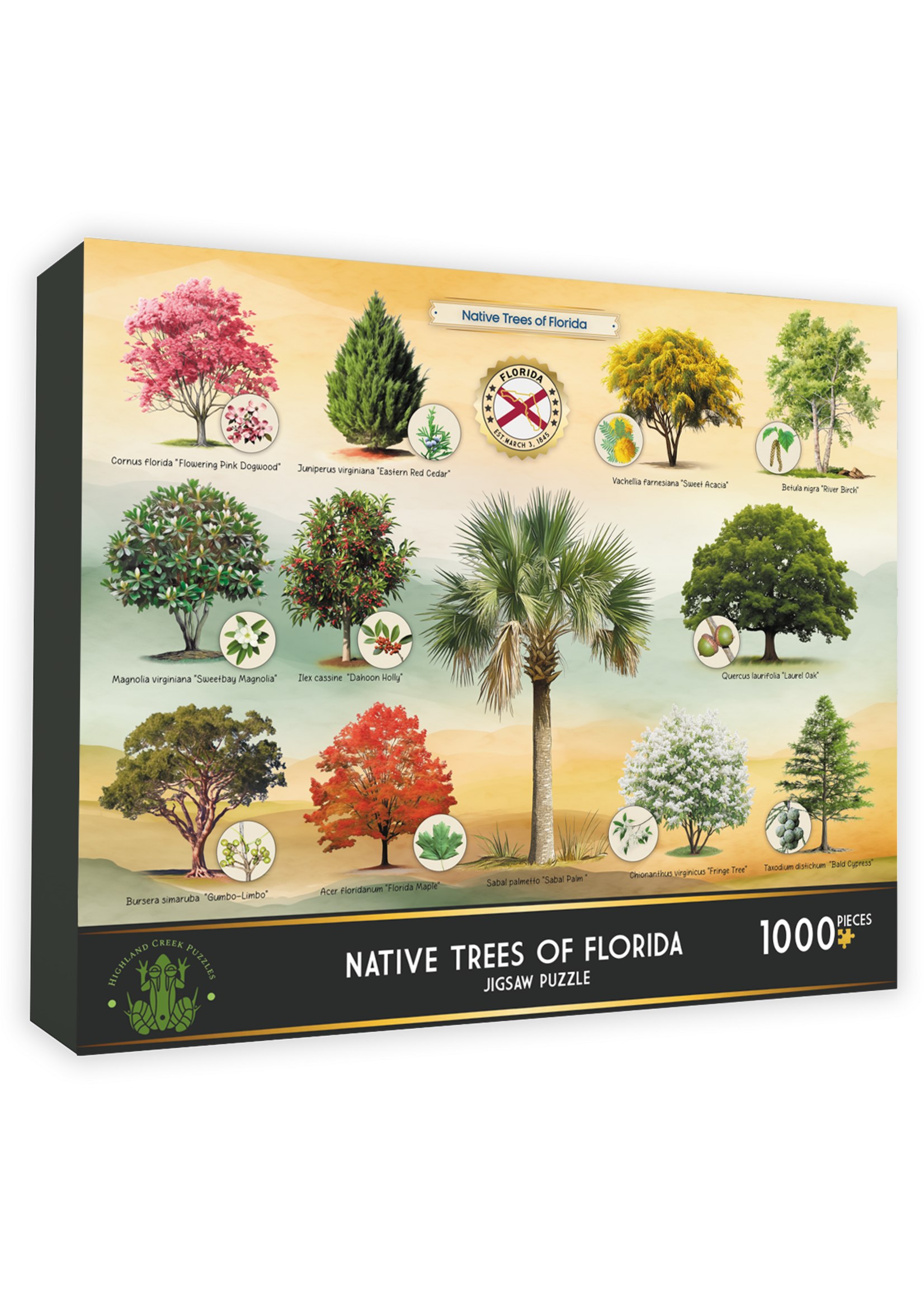 Puzzle Native Trees of Florida