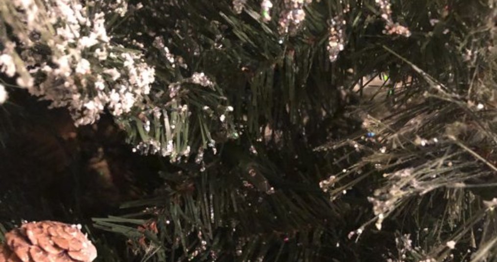 Bicycling Holiday Gift Ideas
