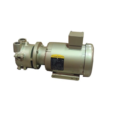 Dekker Vacuum Technologies Liquid Ring Vacuum Pump (DV0035D-MB4-SGL)