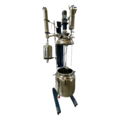 Double Jacket Lifting Reactor (Stainless Steel)