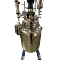Double Jacket Non-Lifting Reactor (Stainless Steel)