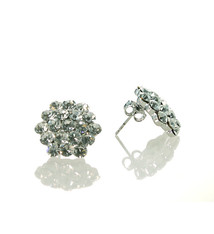 FH2 Boucle d'oreille de compétition, FH2 AZ0015