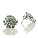 FH2 Boucle d'oreille de compétition, FH2 AZ0015