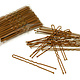 FH2 3 inch Hair Pins FH2 AZ0028, 60 Pin Package