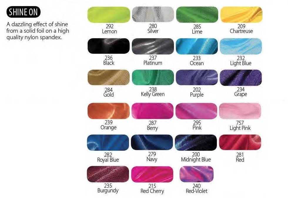 Motionwear Scrunchie 1004, Color: Shine On