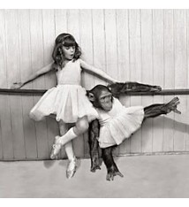 Ballerina Monkey Greeting Card, Incognito 04792