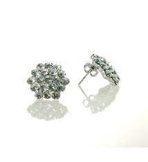 FH2 Boucle d'oreille de compétition, FH2 AZ0014