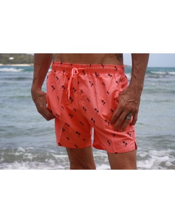 RS Surf RS Surf - Men's Volley Short - Mini Palm