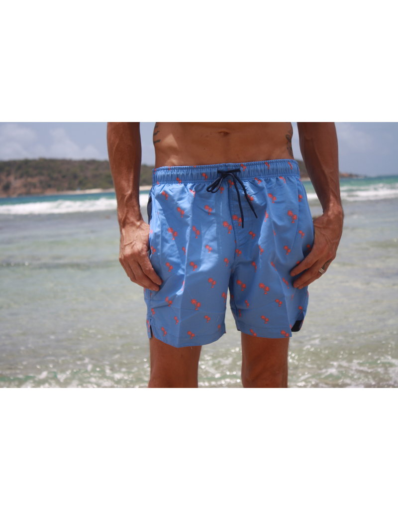 RS Surf RS Surf - Men's Volley Short - Mini Palm