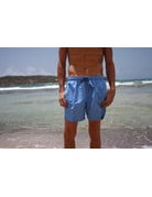 RS Surf RS Surf - Men's Volley Short - Mini Palm