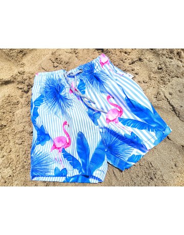 Vintage Summer VS Boys Swim Shorts - Striped Flamingo